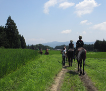 img_1414.jpg